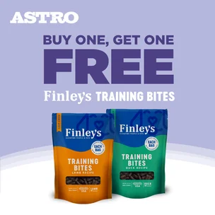 Finley's | Buy 1, G…